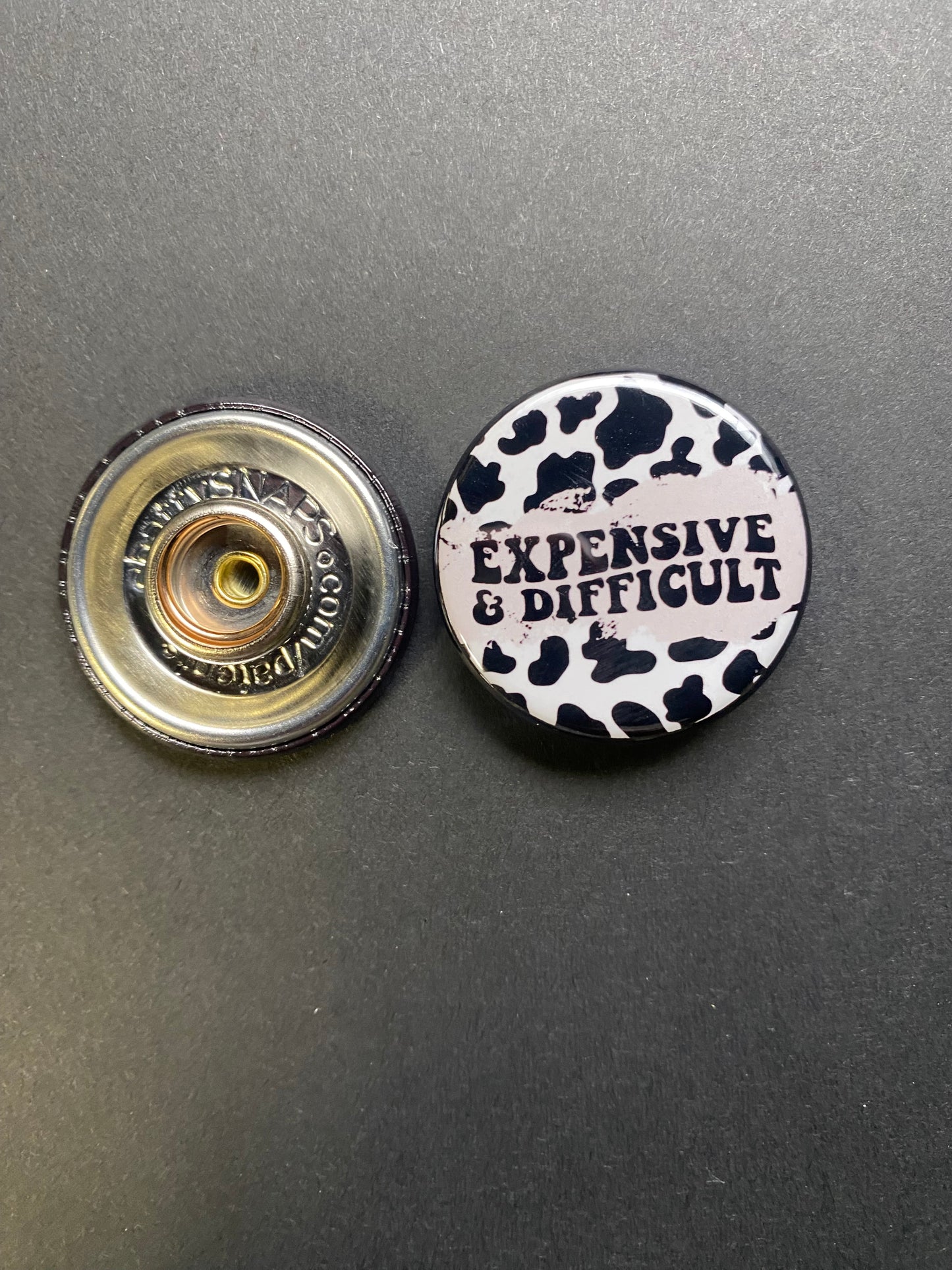Expensive And Difficult Snap Charm