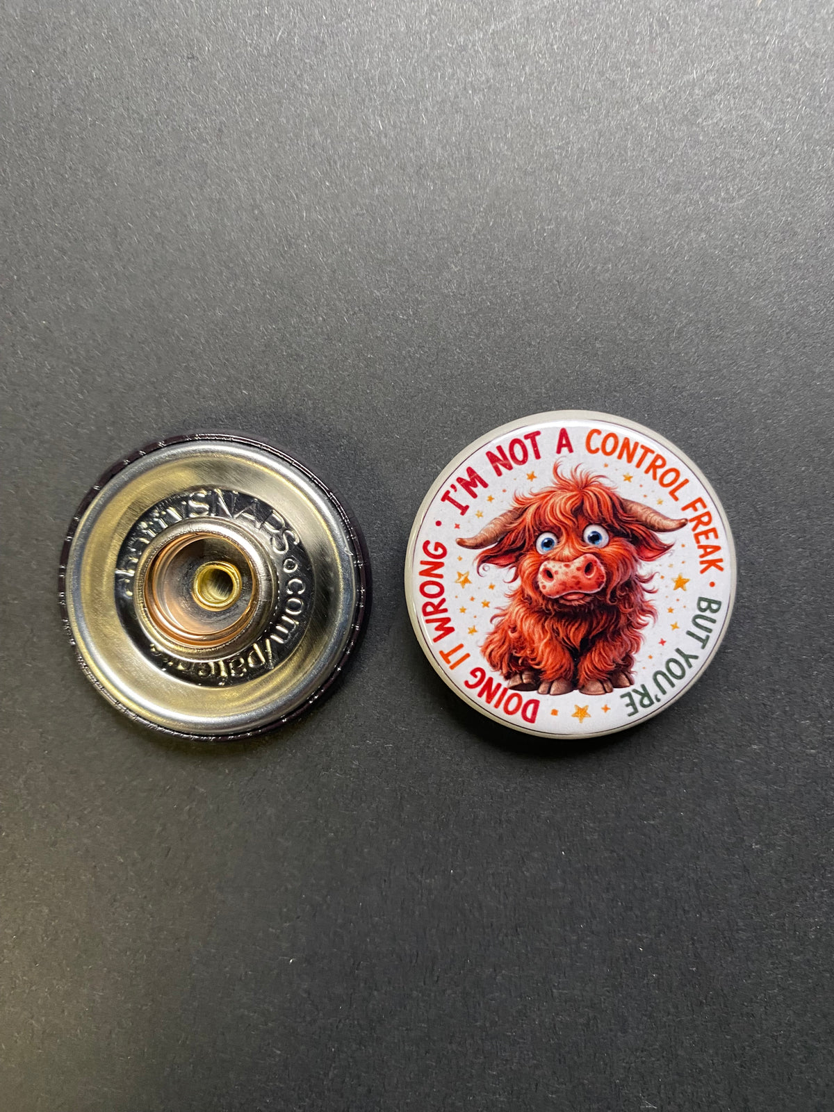 I am Not A Control Freak Snap Charm