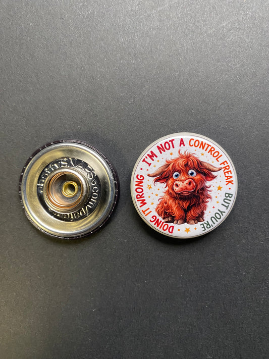 I am Not A Control Freak Snap Charm